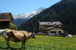 Отель Hotel Restaurant Walserhof, Medels Im Rheinwald